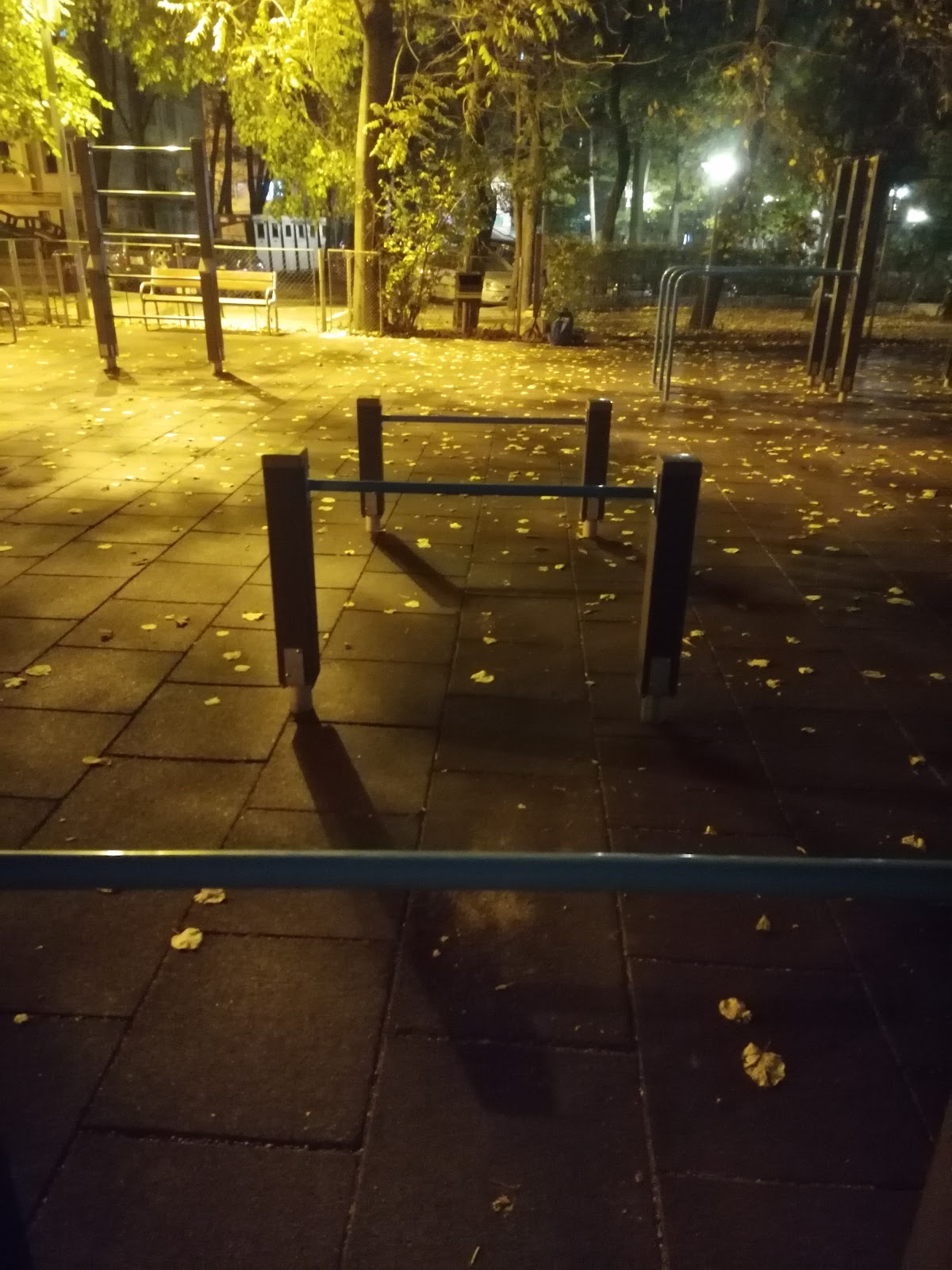 Parc Calisthenics Talpalari