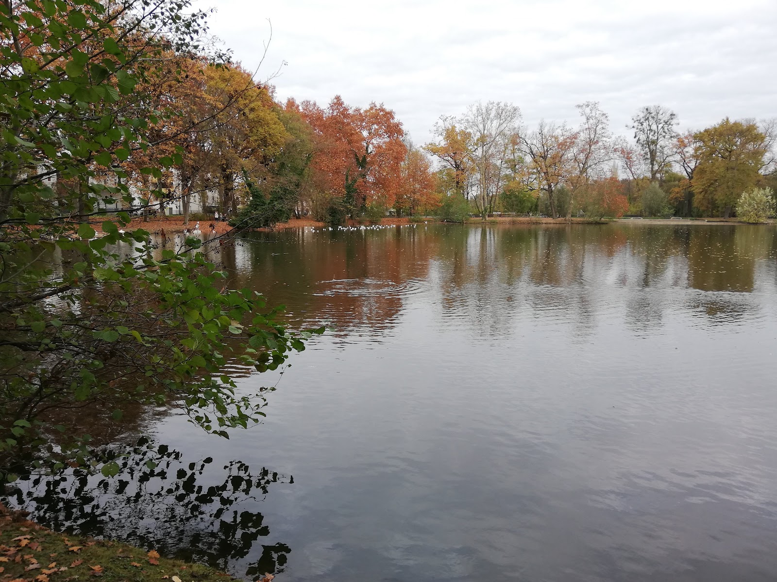 Parc Schulmeister