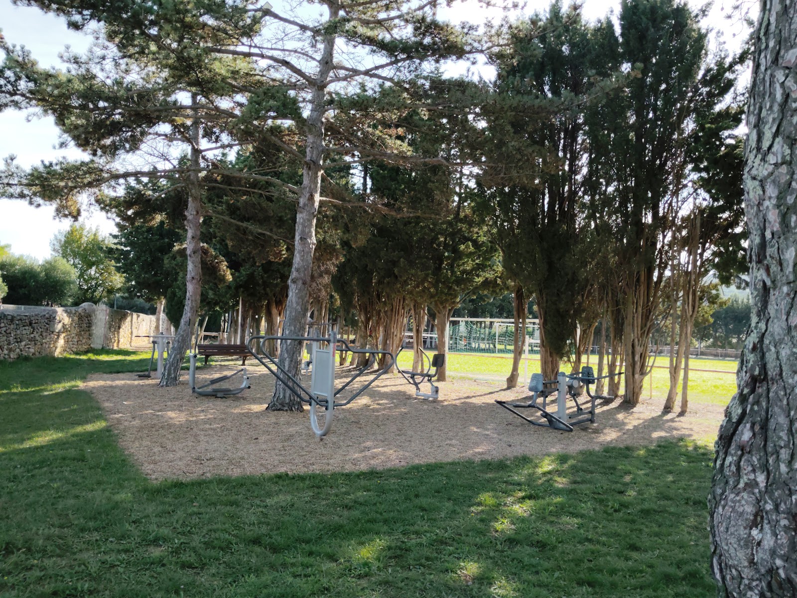 Parc Street workout