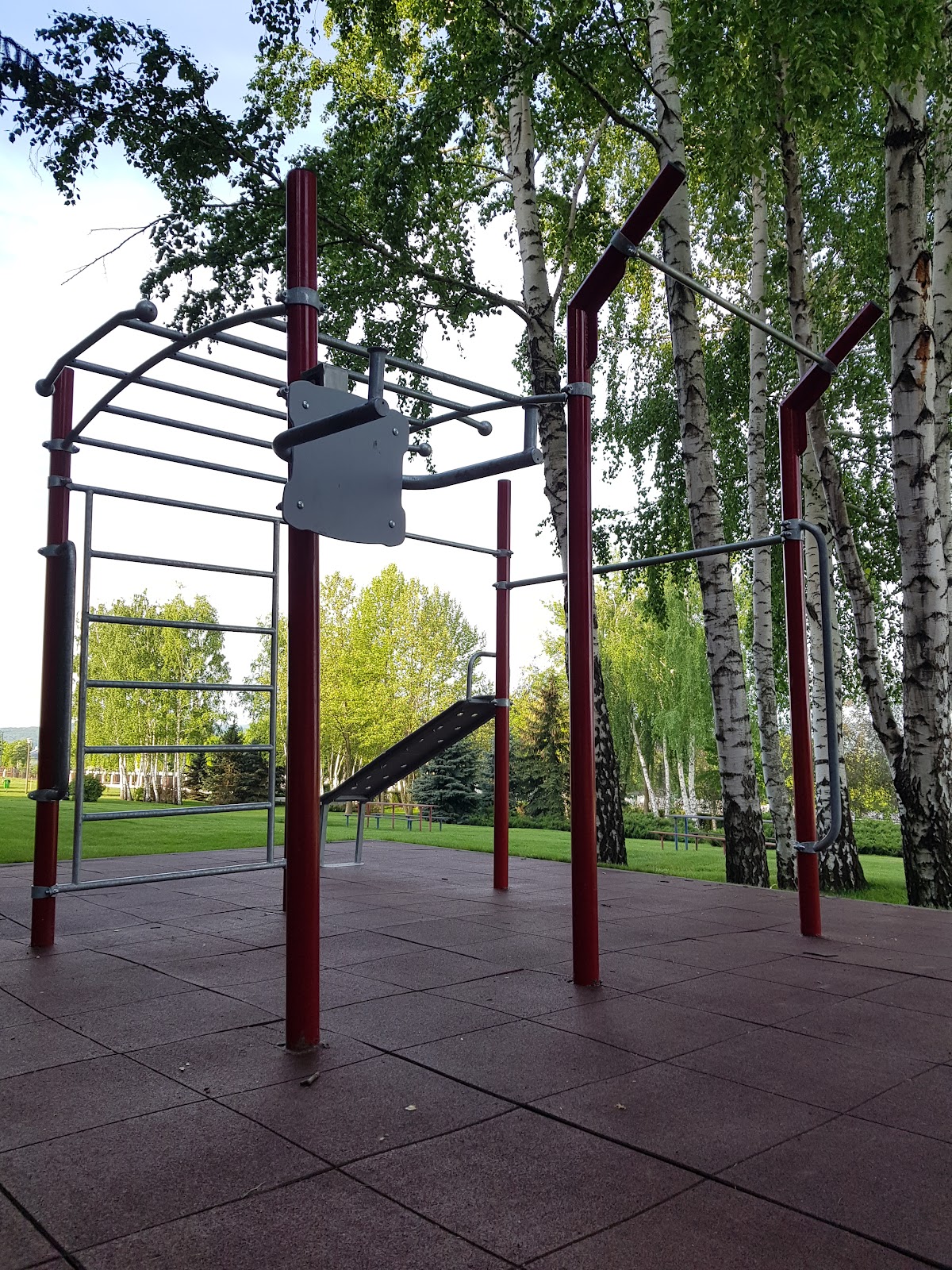 Parc calisthenics