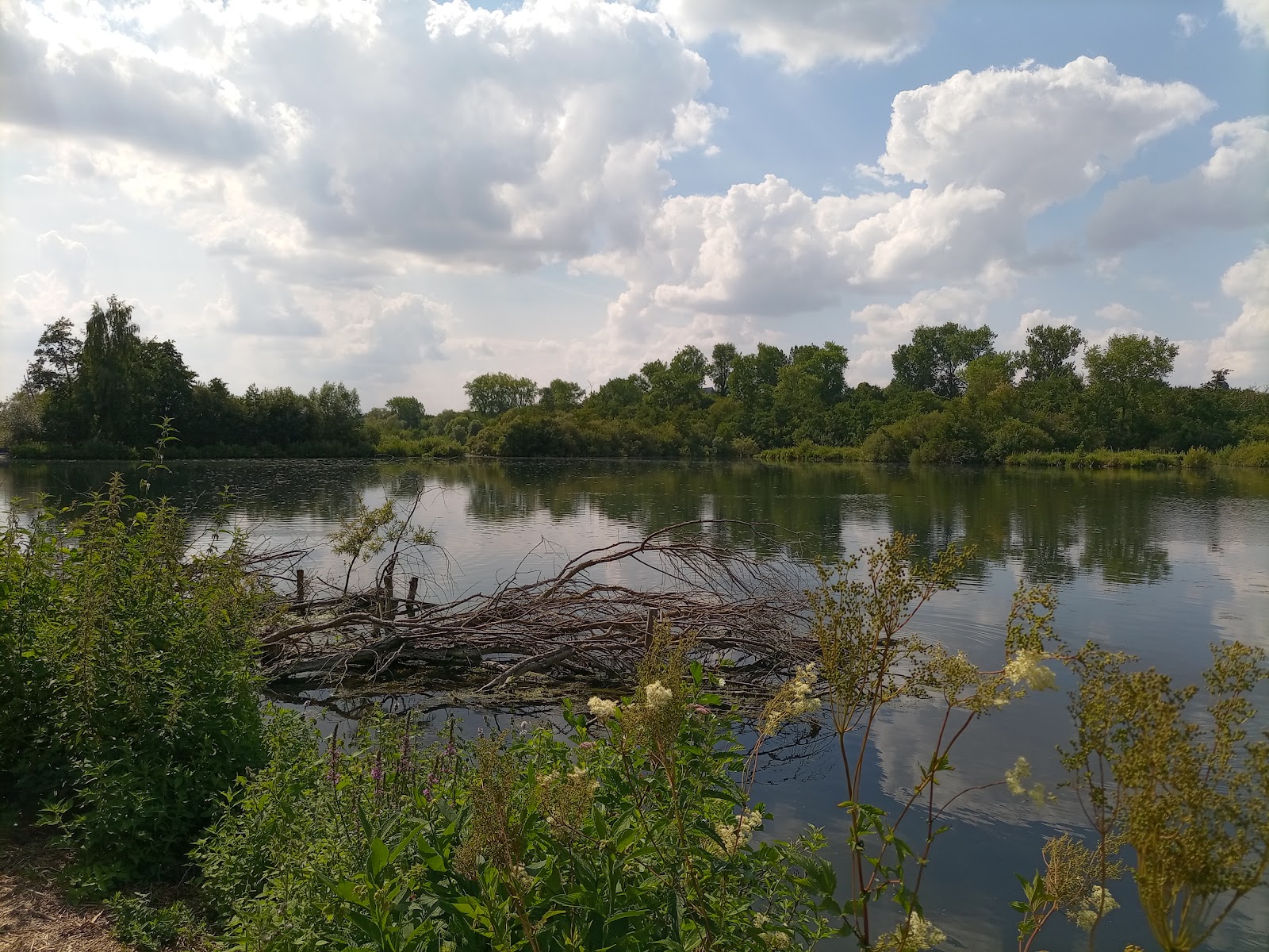 Parc d'Isle