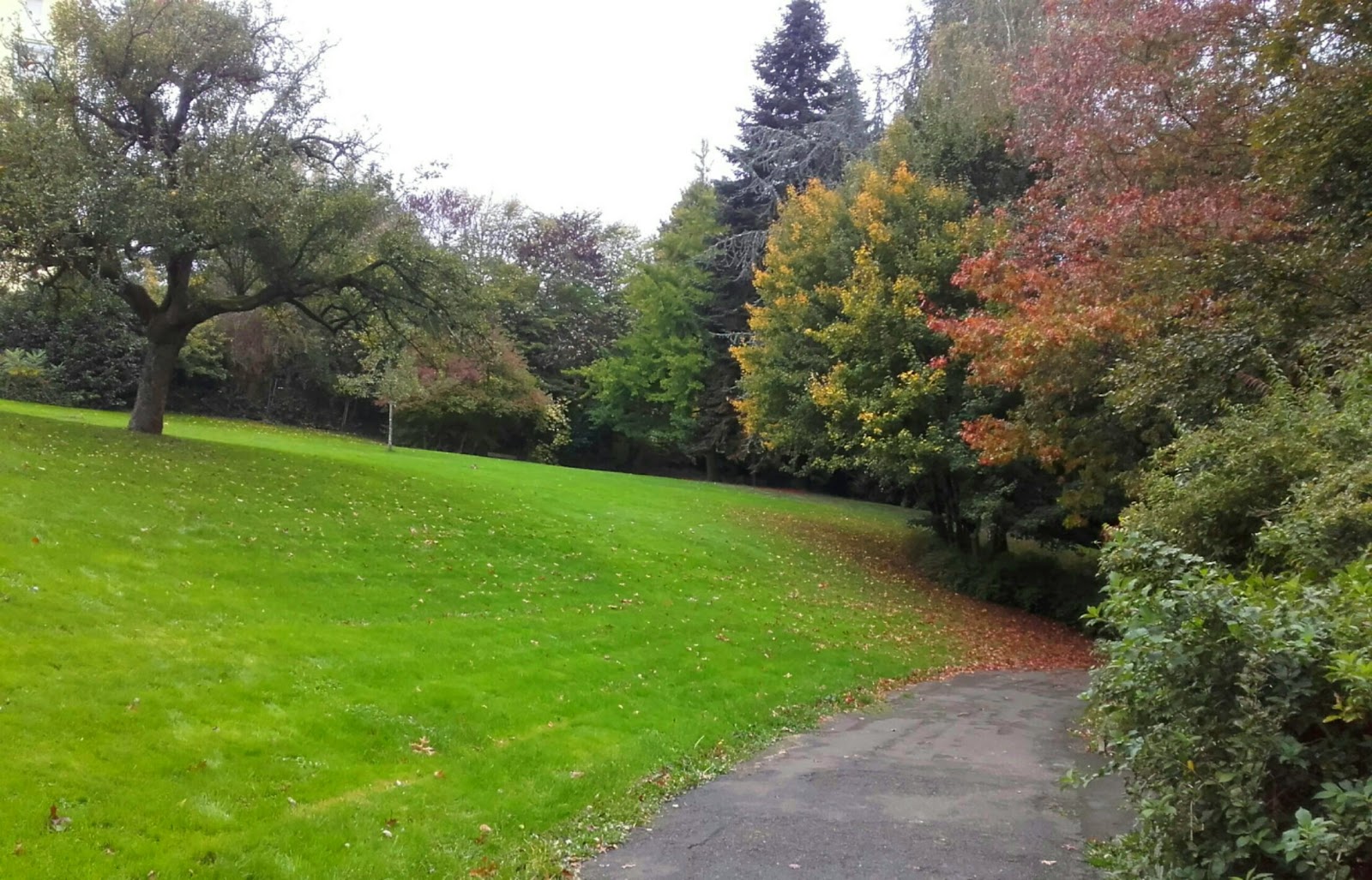 Parc de Banjan