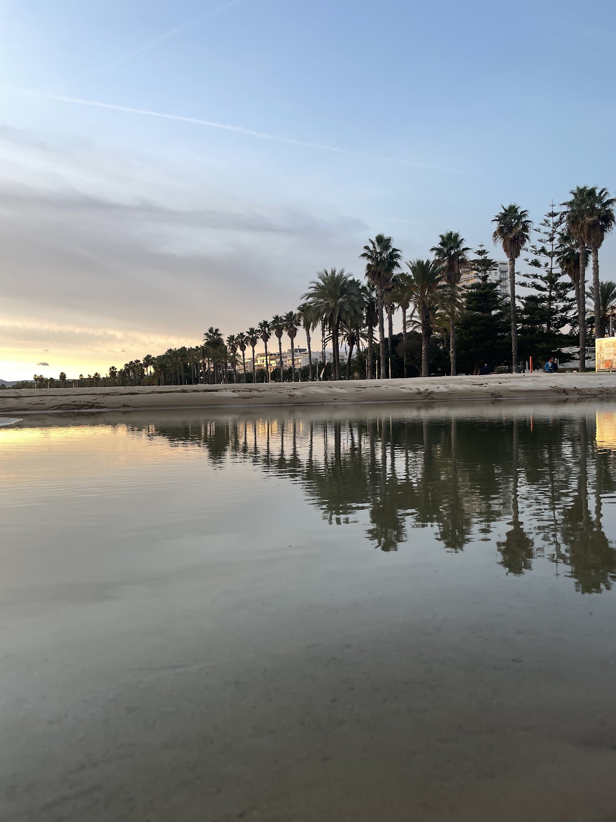 Parc de Calistènia