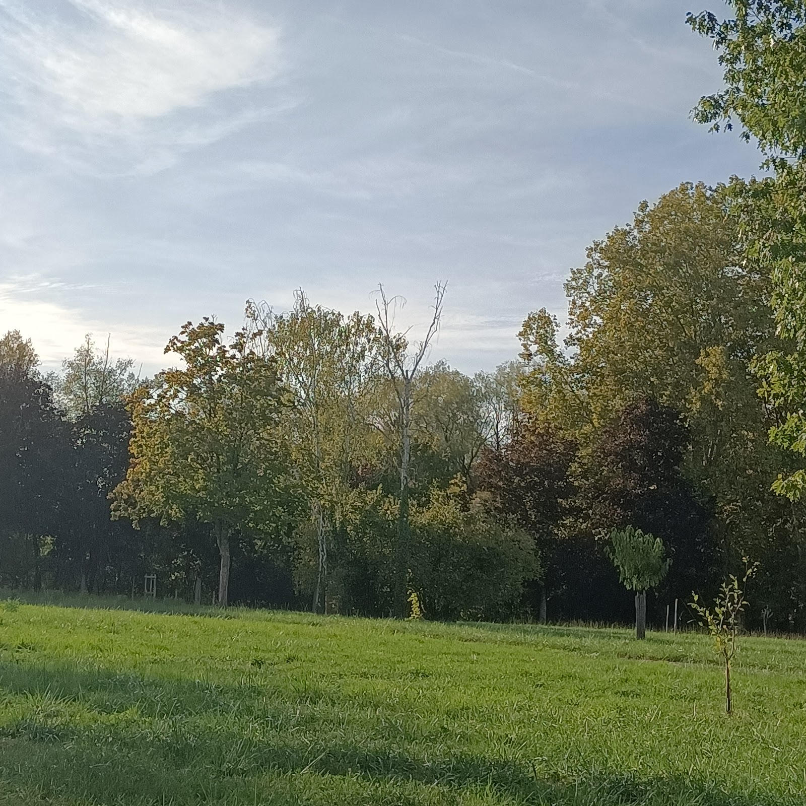 Parc de Street Workout
