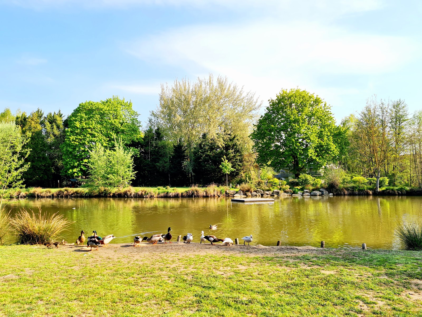 Parc de la Brèche