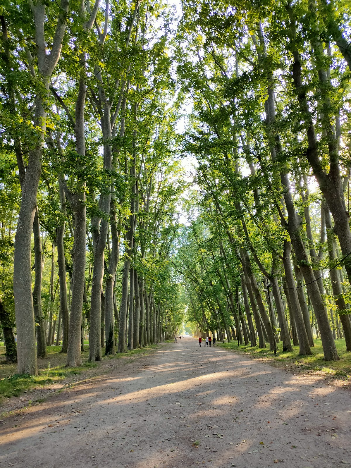Parc de la Devesa