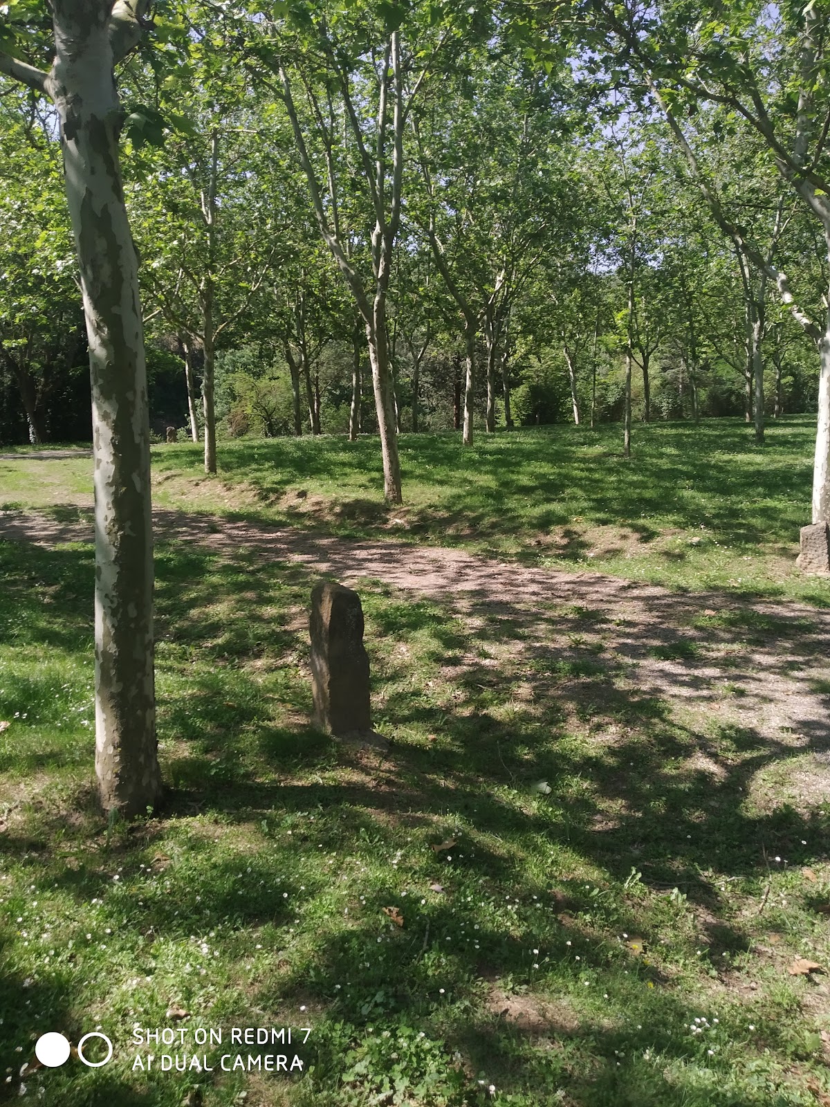 Parc de la Mina