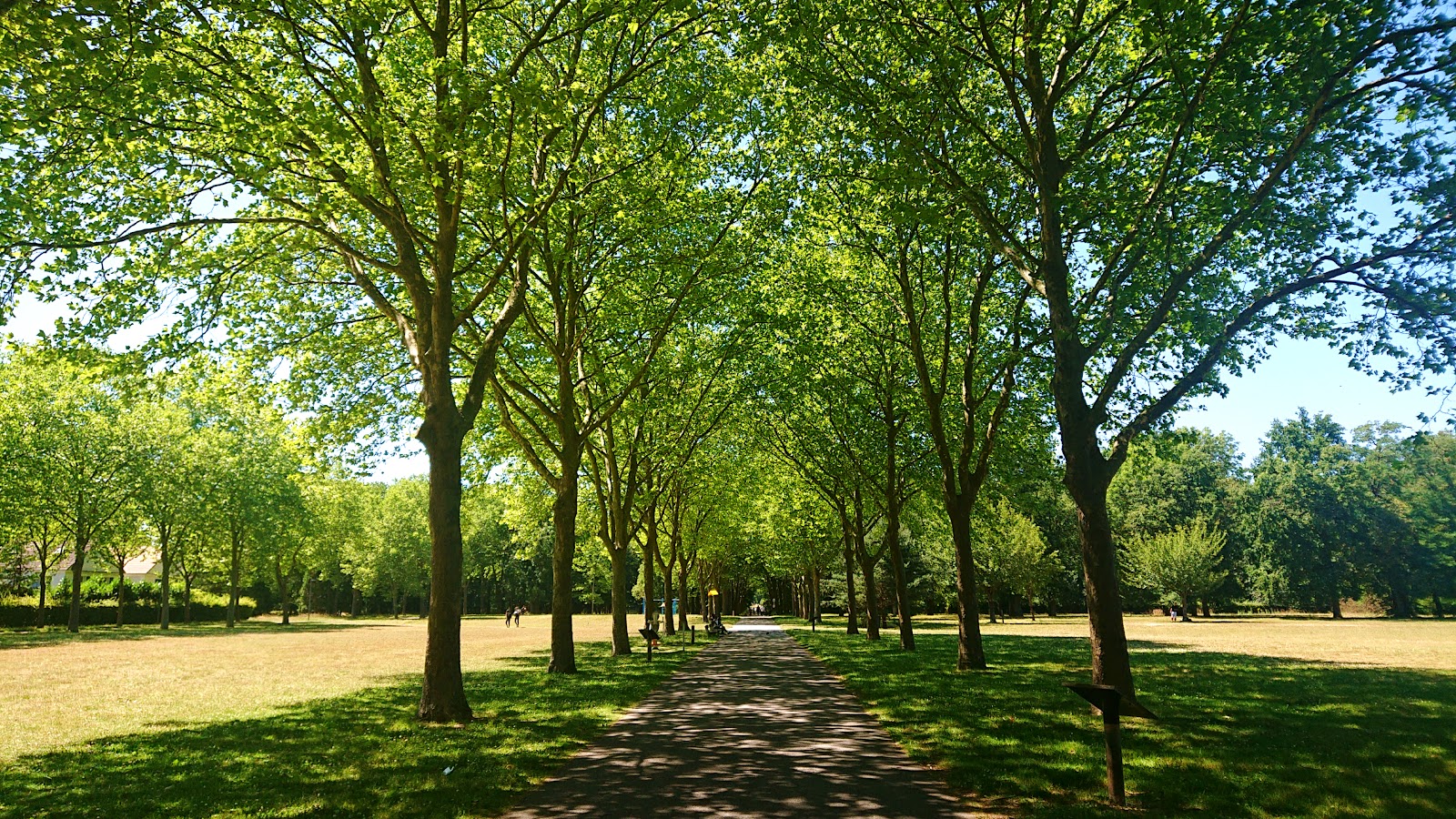 Parc des Coquibus
