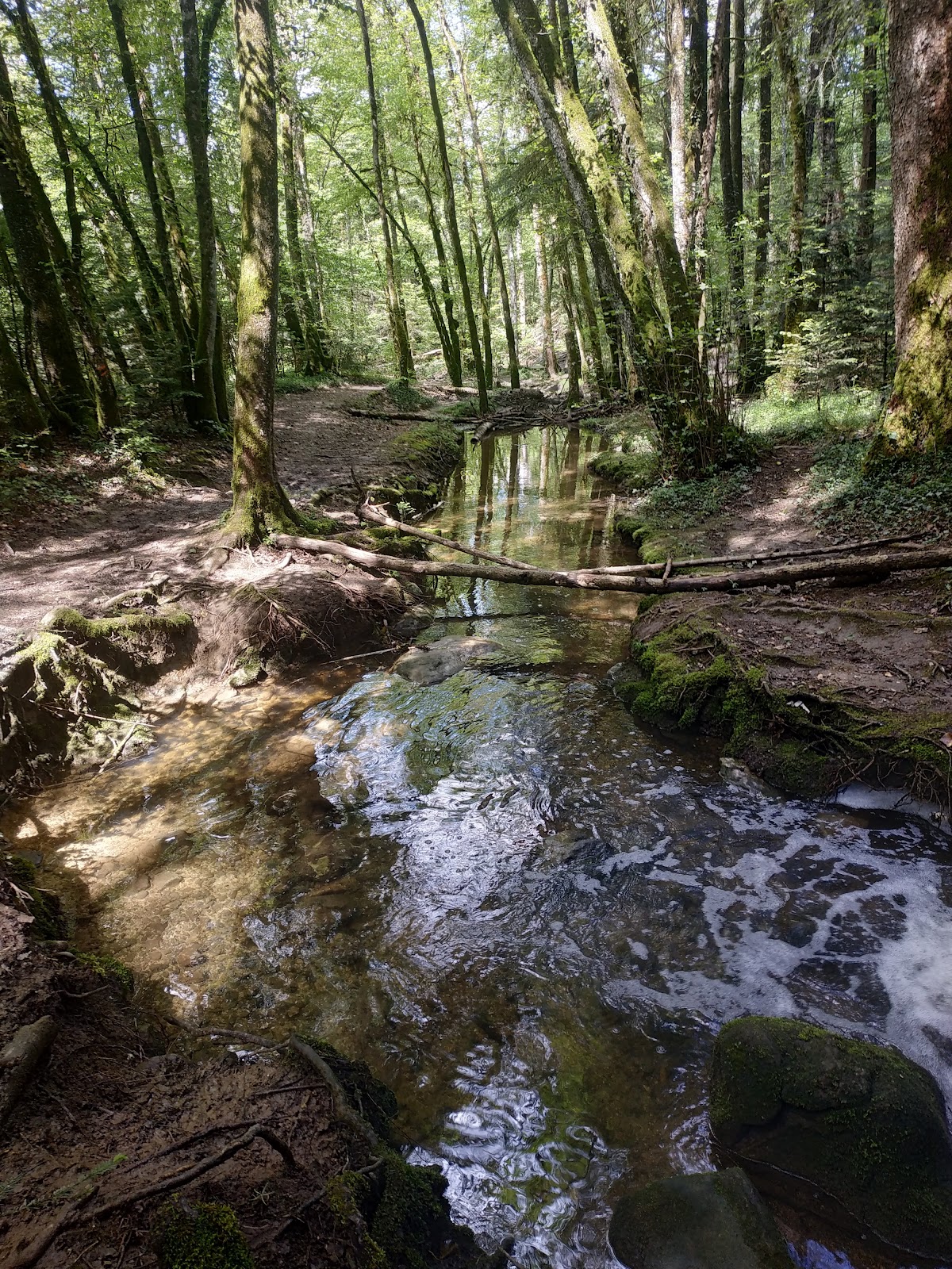 Parc des Glaisins