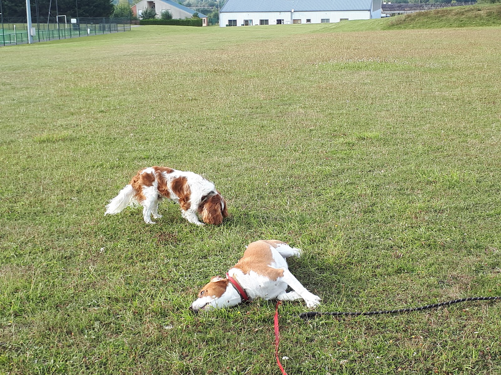 Parc des Sports