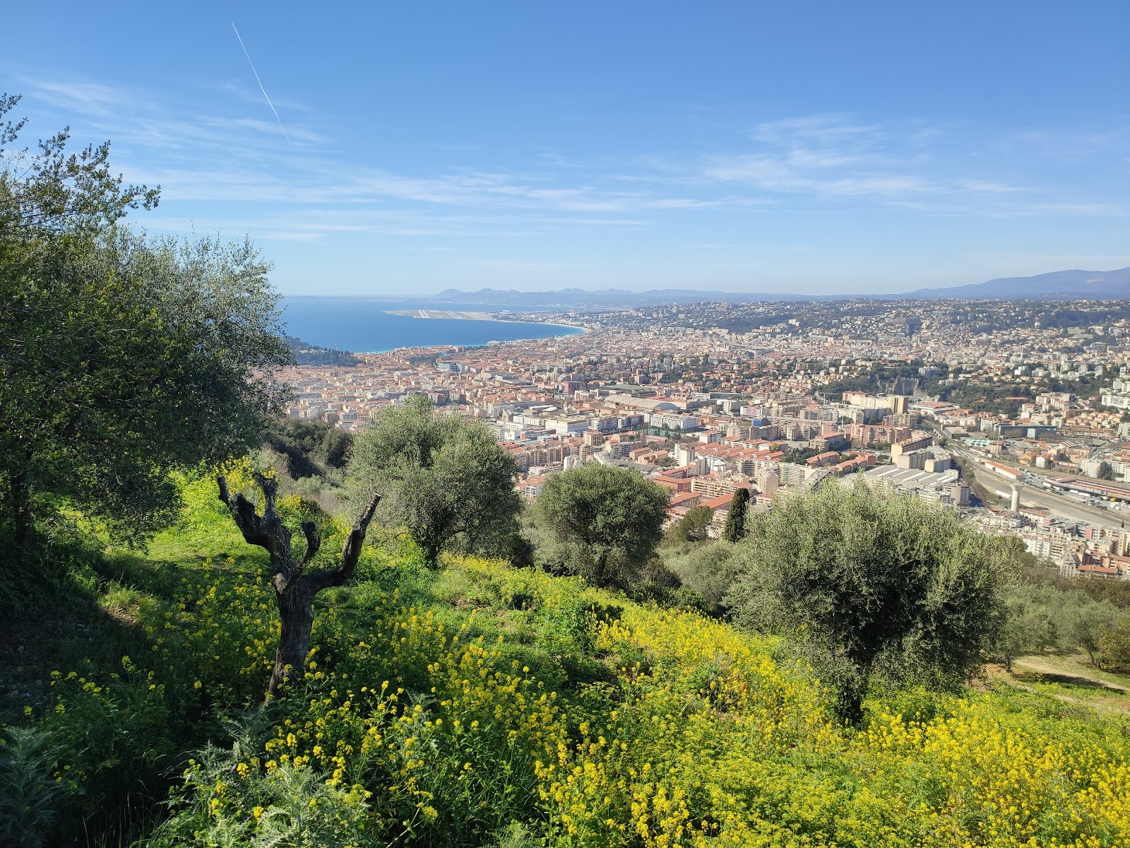 Parc du Vinaigrier