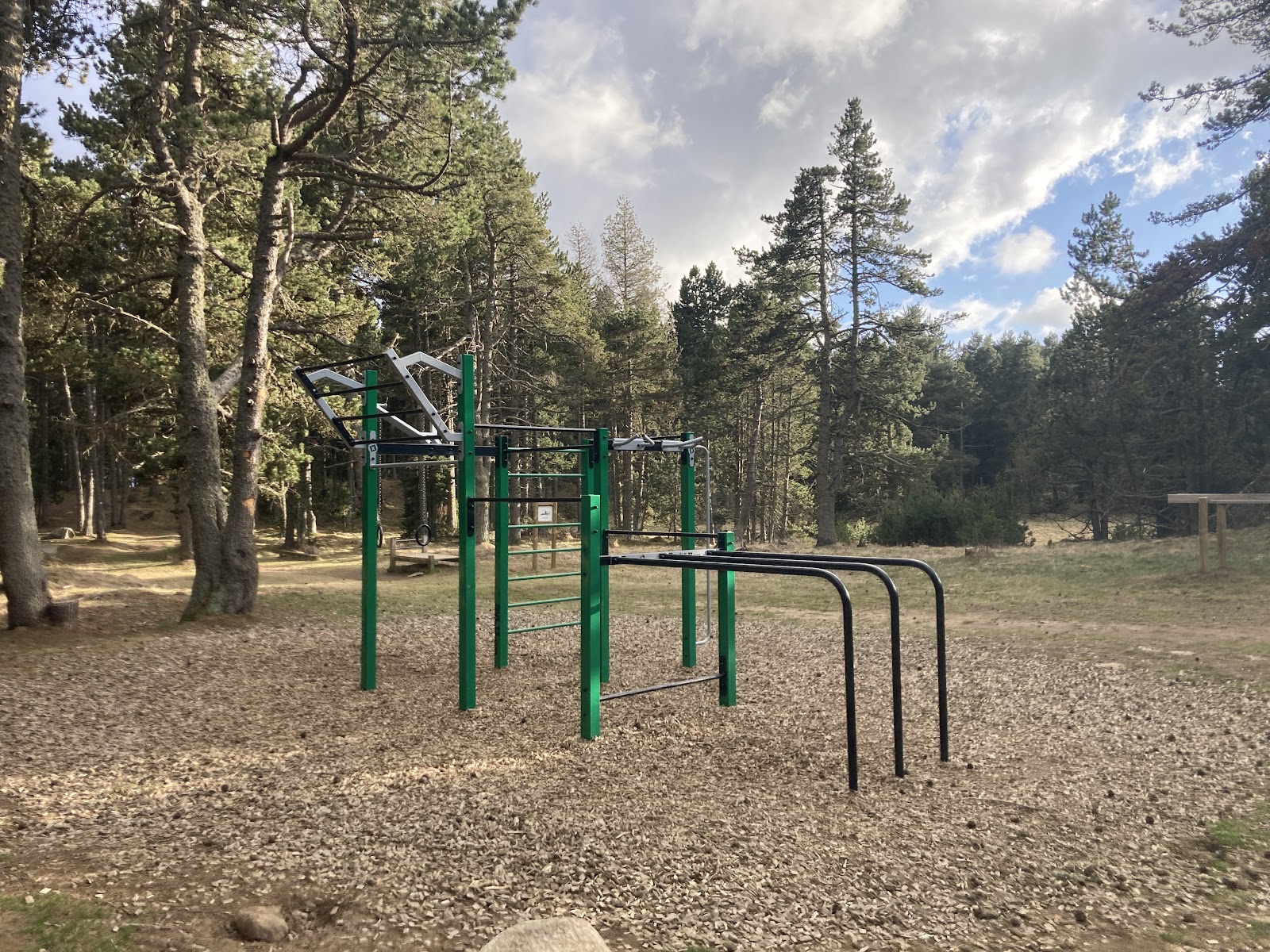 Parc street workout