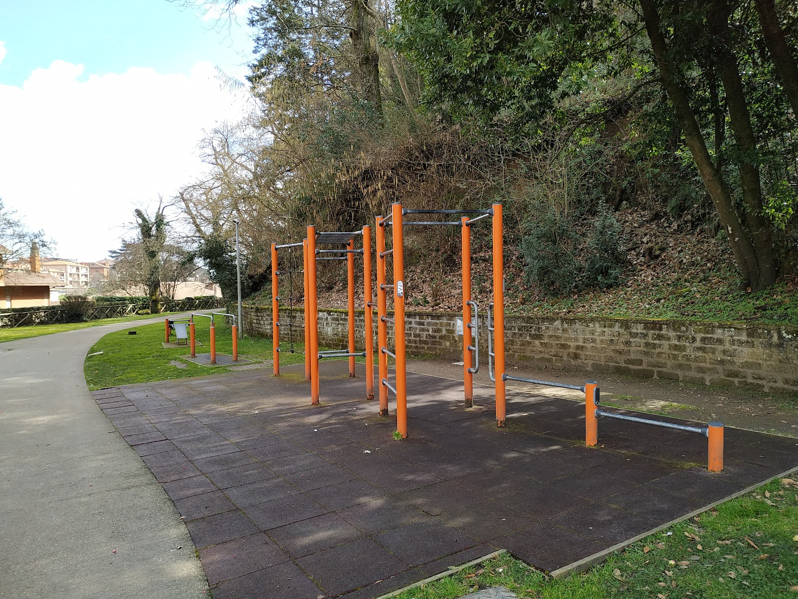 Parchetto di Calisthenics