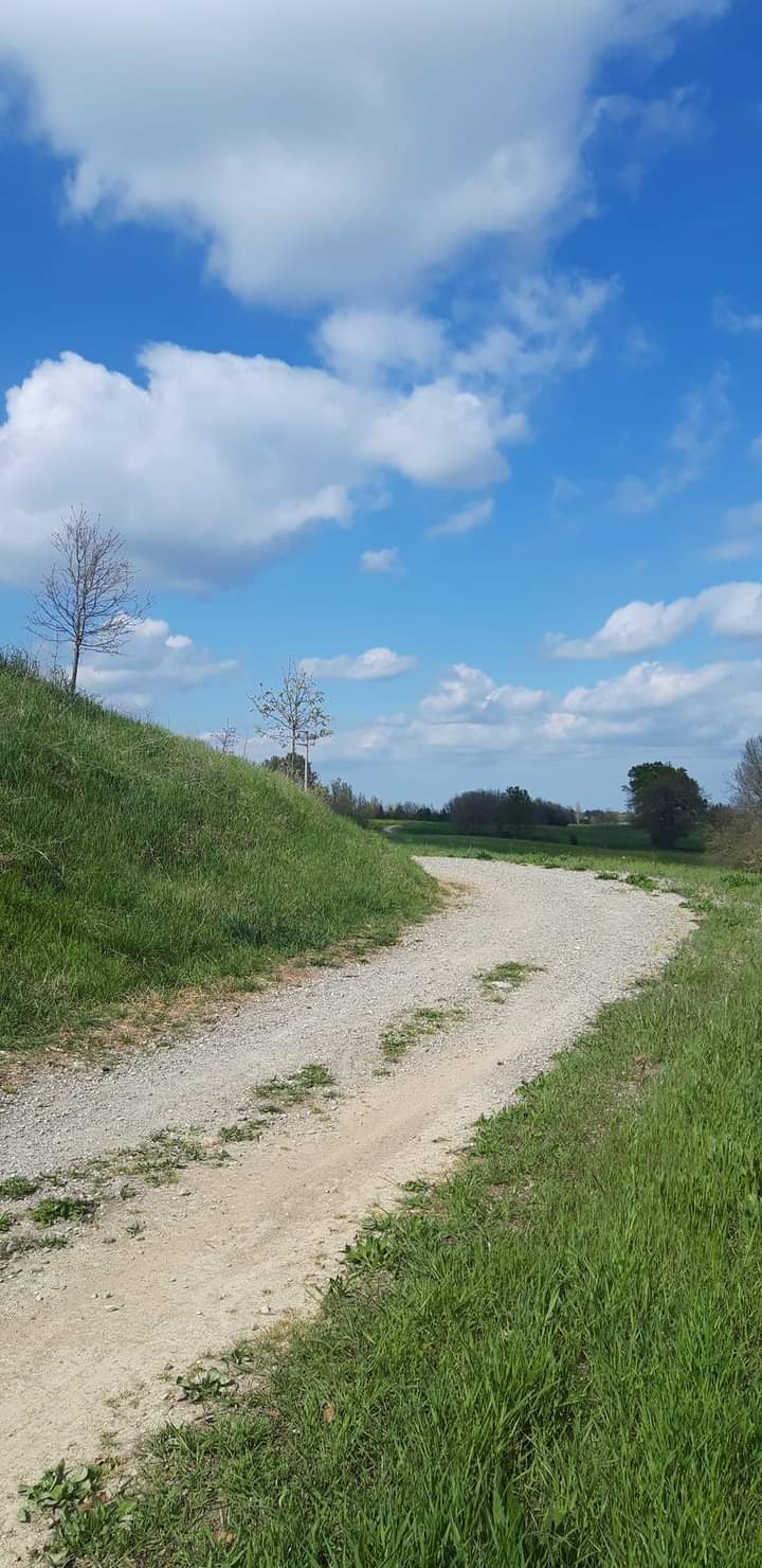 Parco Albinea