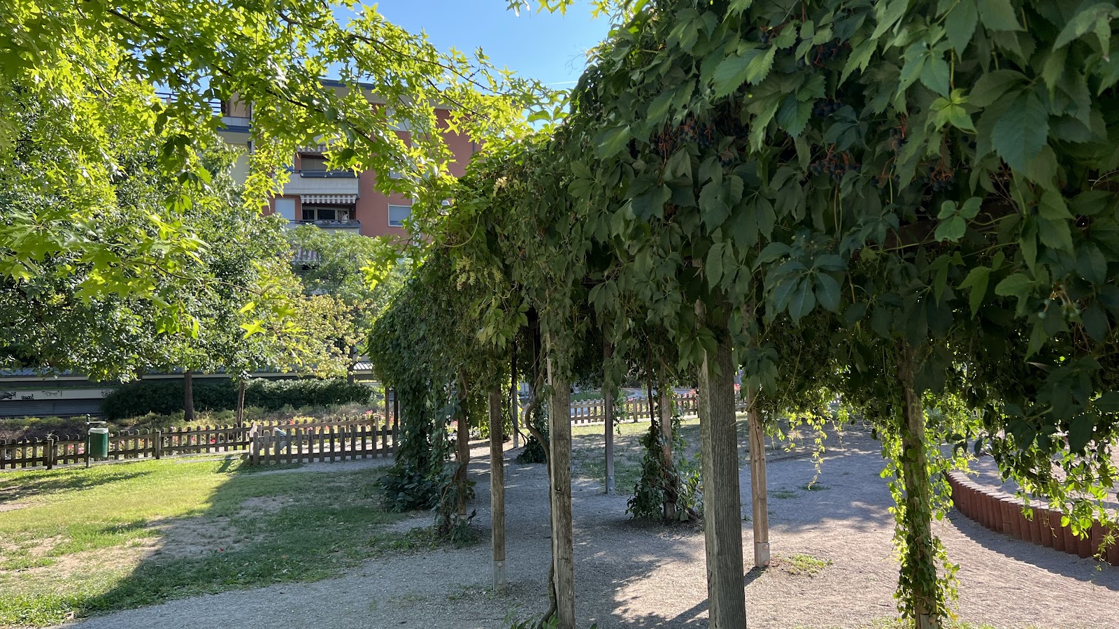 Parco Calisthenics