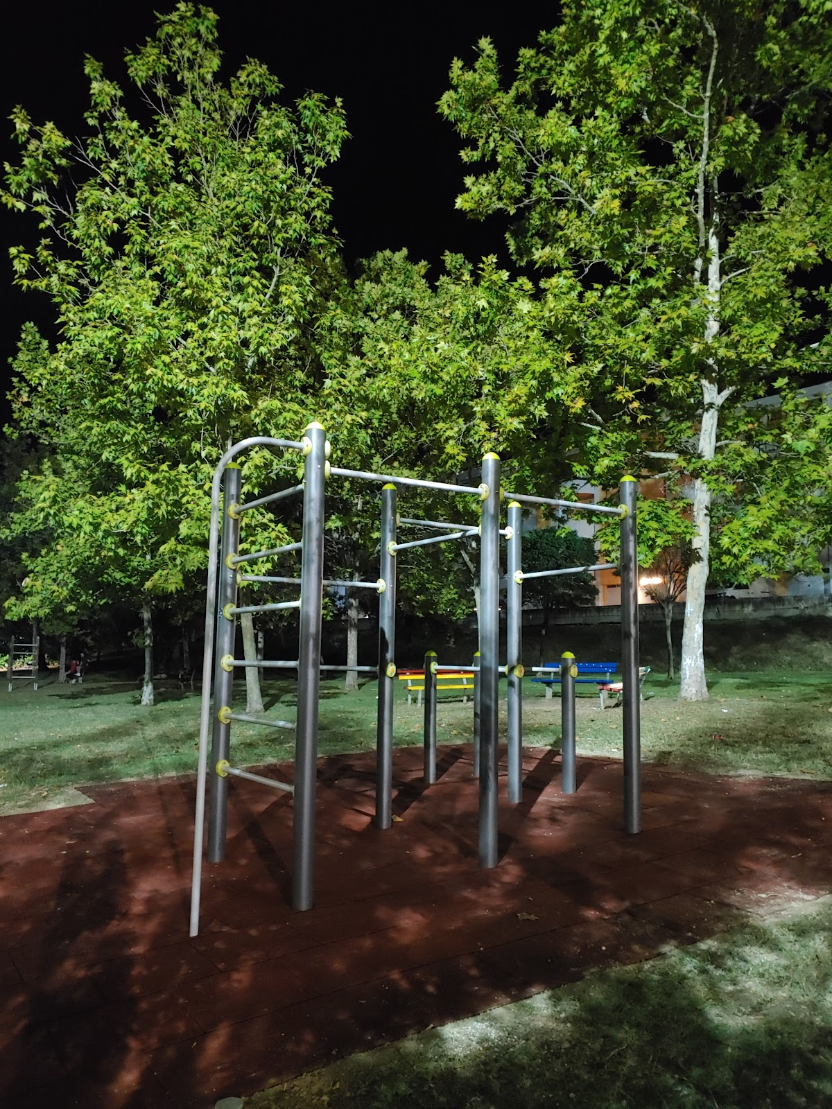 Parco Calisthenics