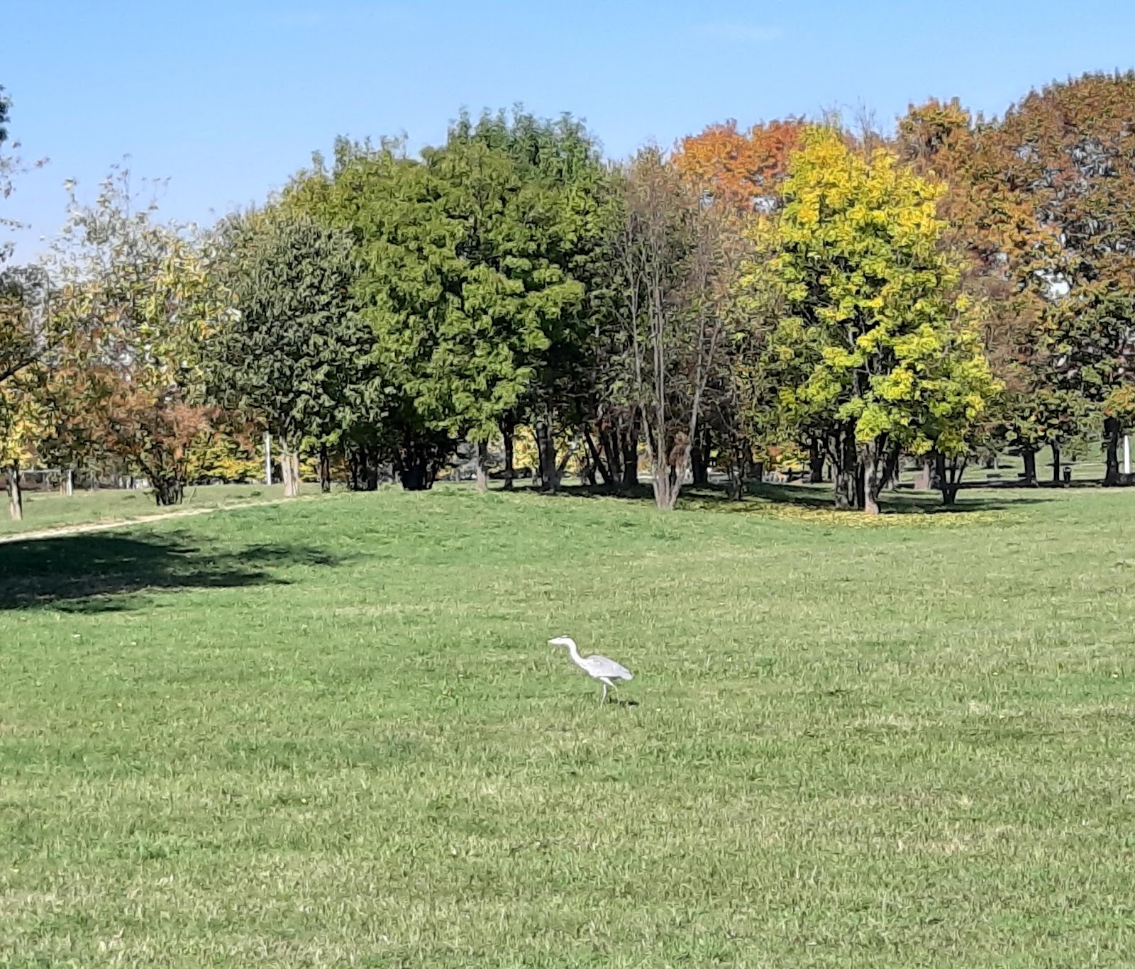 Parco Colonnetti