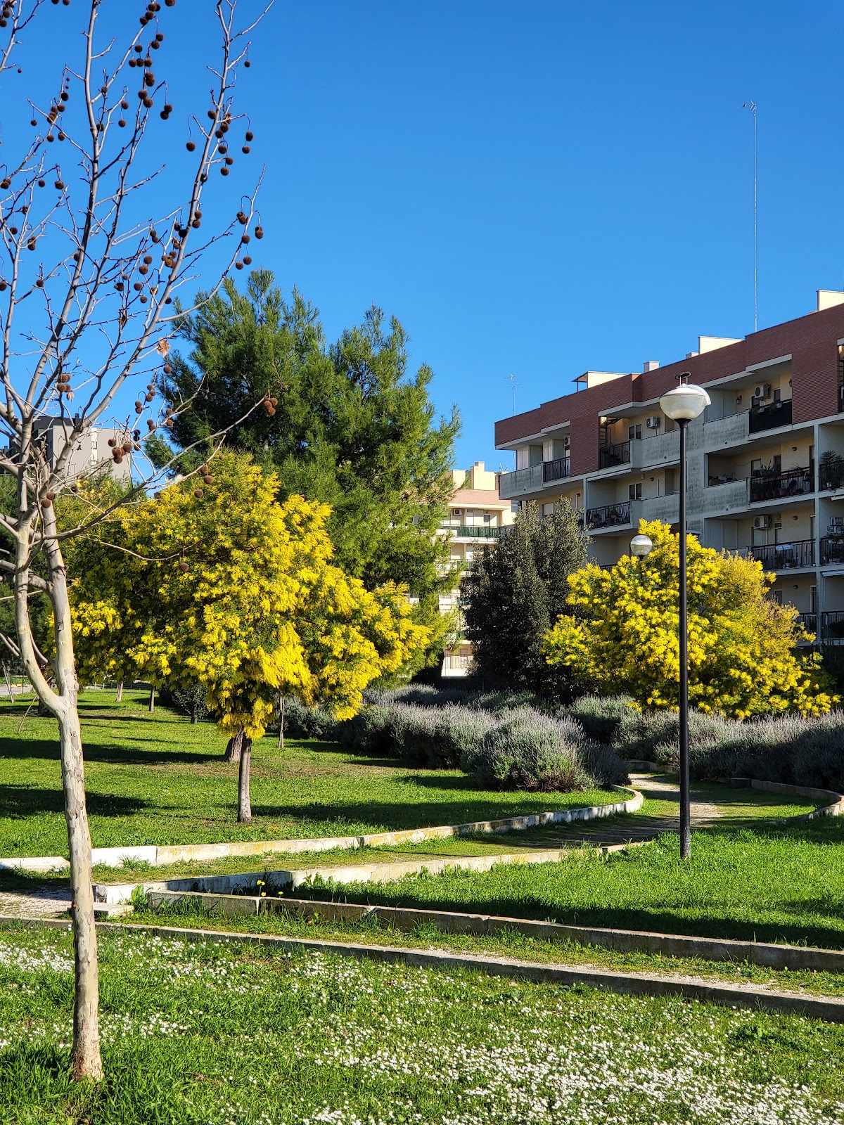 Parco "D. Jannelli" di Taranto 2