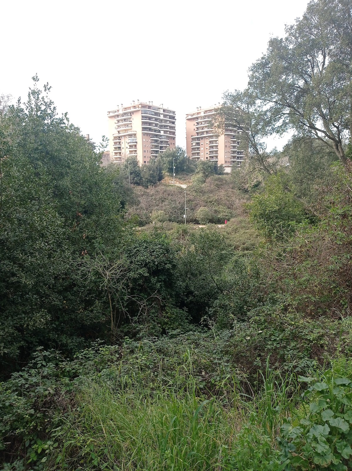 Parco Della Crocetta