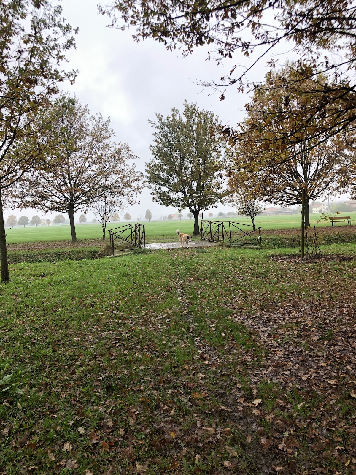 Parco Torrazzi