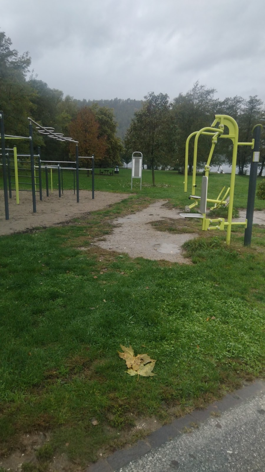 Parco calisthenics