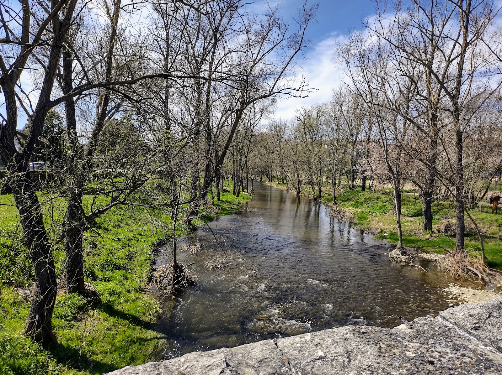 Parco del Basento