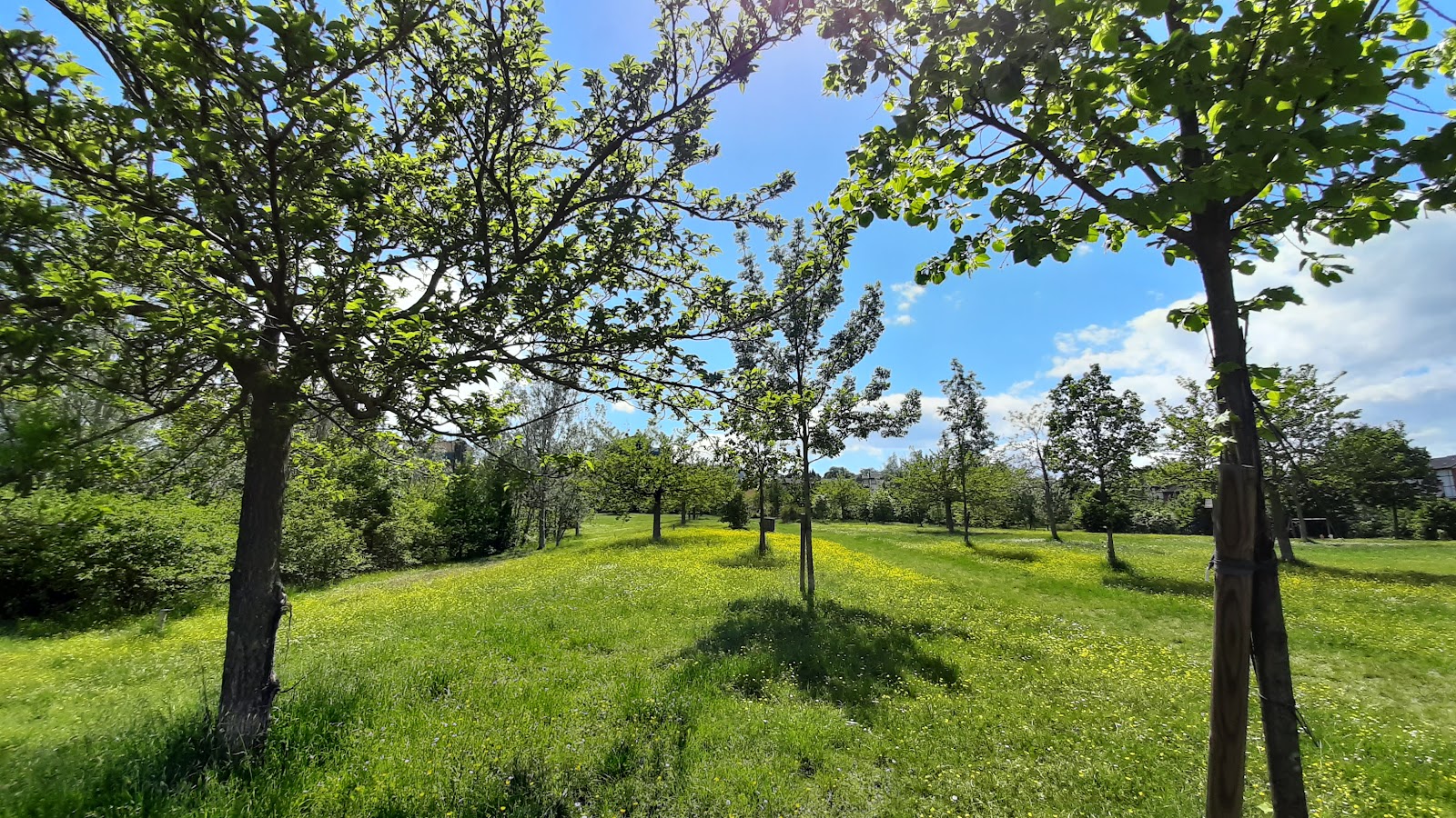 Parco della Fabbreria
