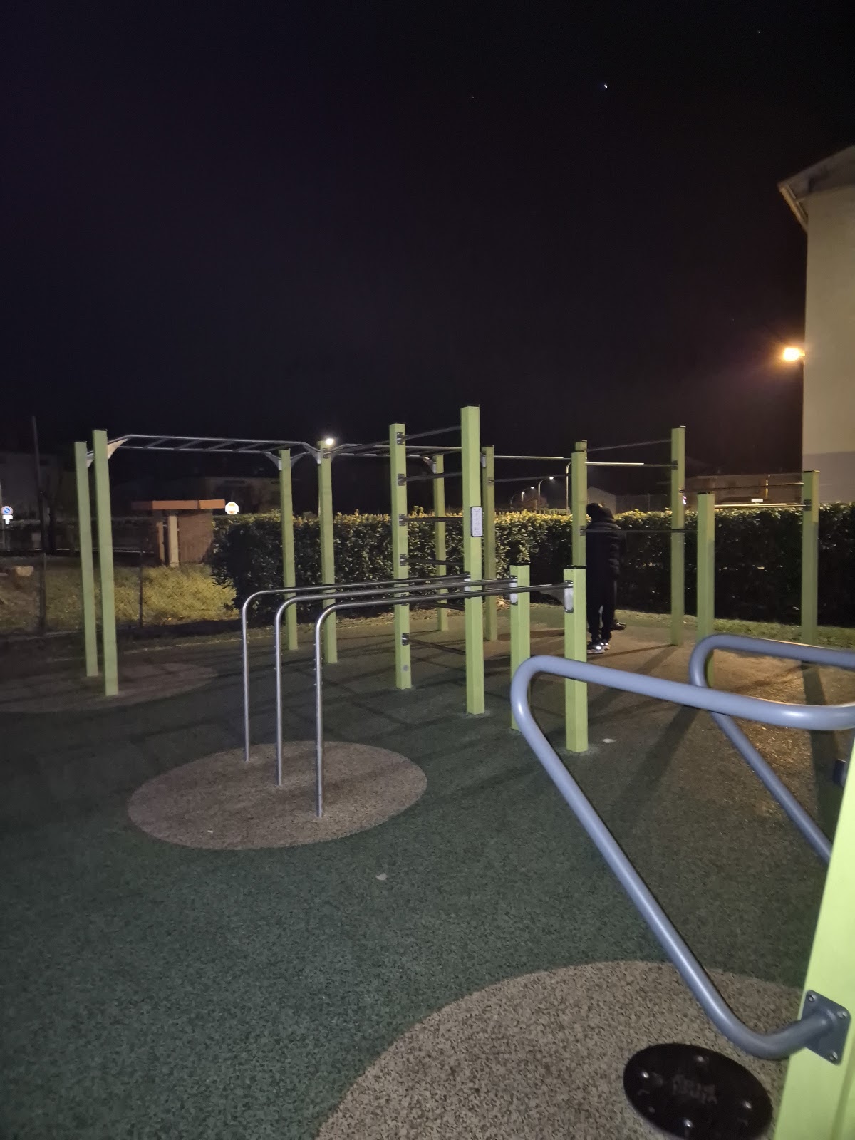 Parco di calisthenics