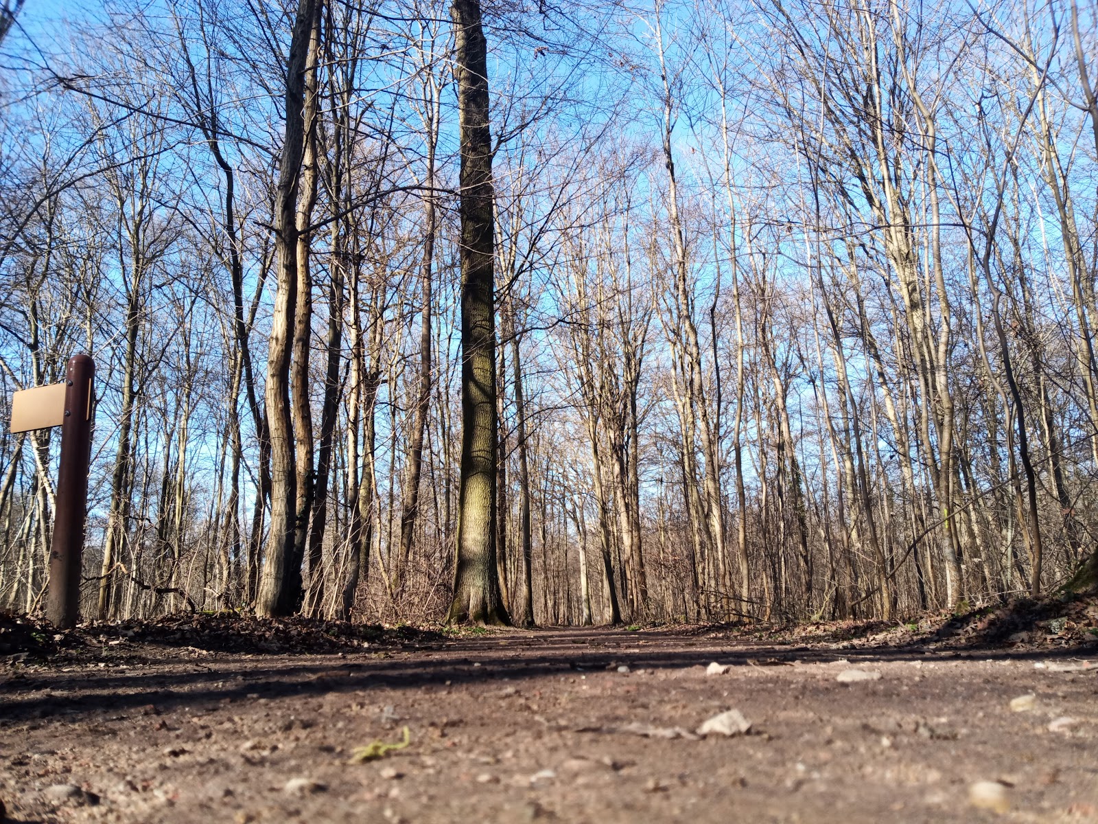 Parcours Vita fontaine