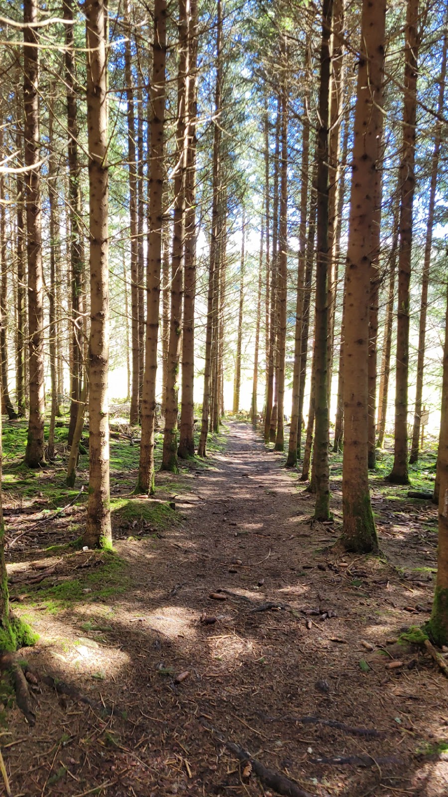 Parcours Vita (sentier sportif)