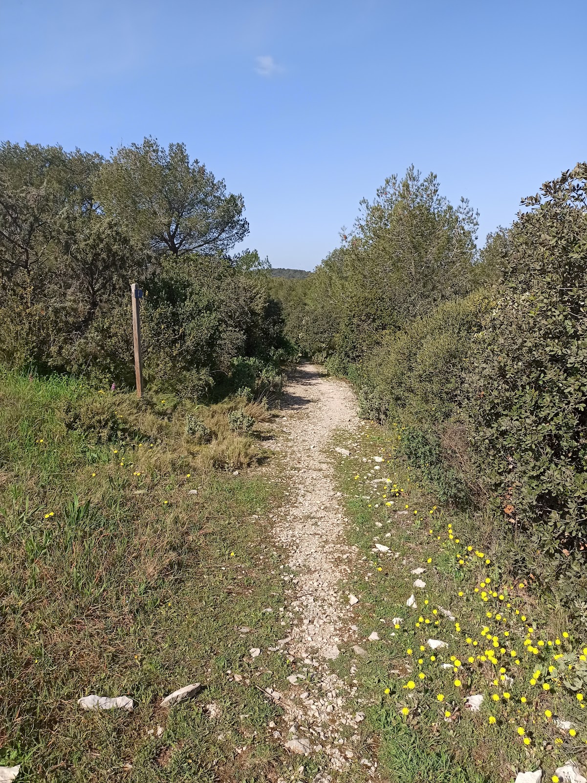 Parcours de santé de Vacquerolles