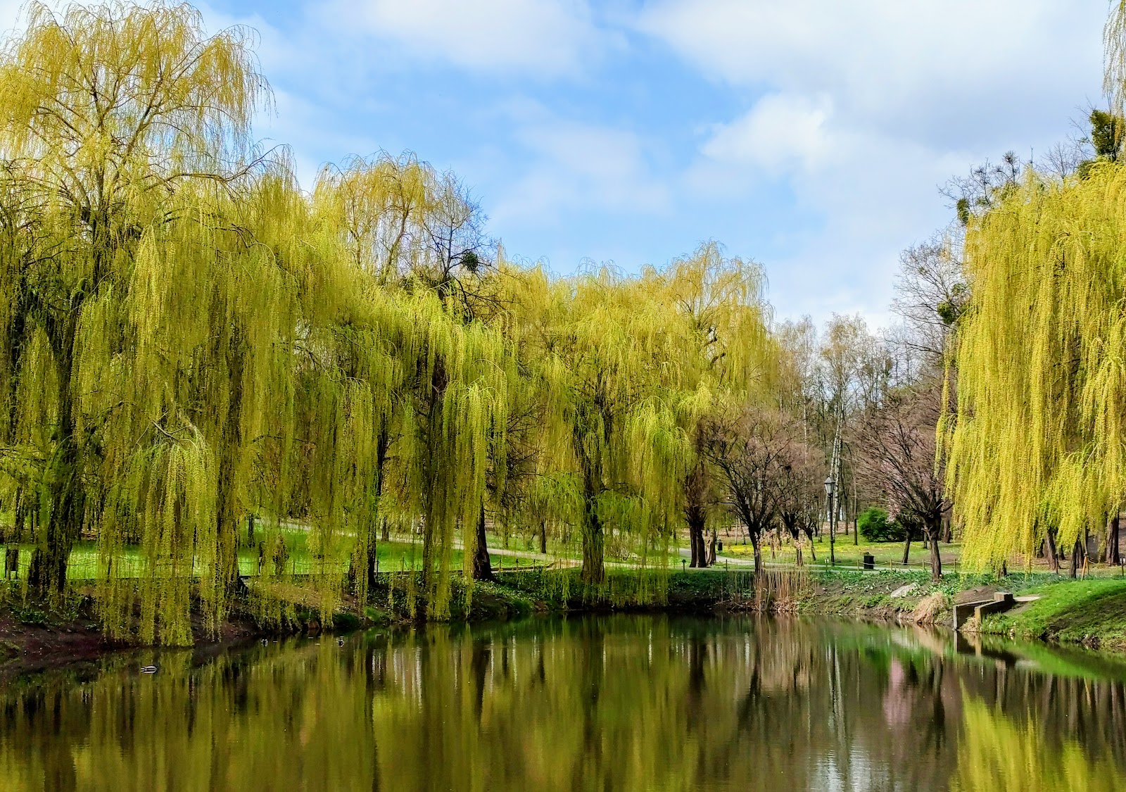 Park Śremskich Odlewników