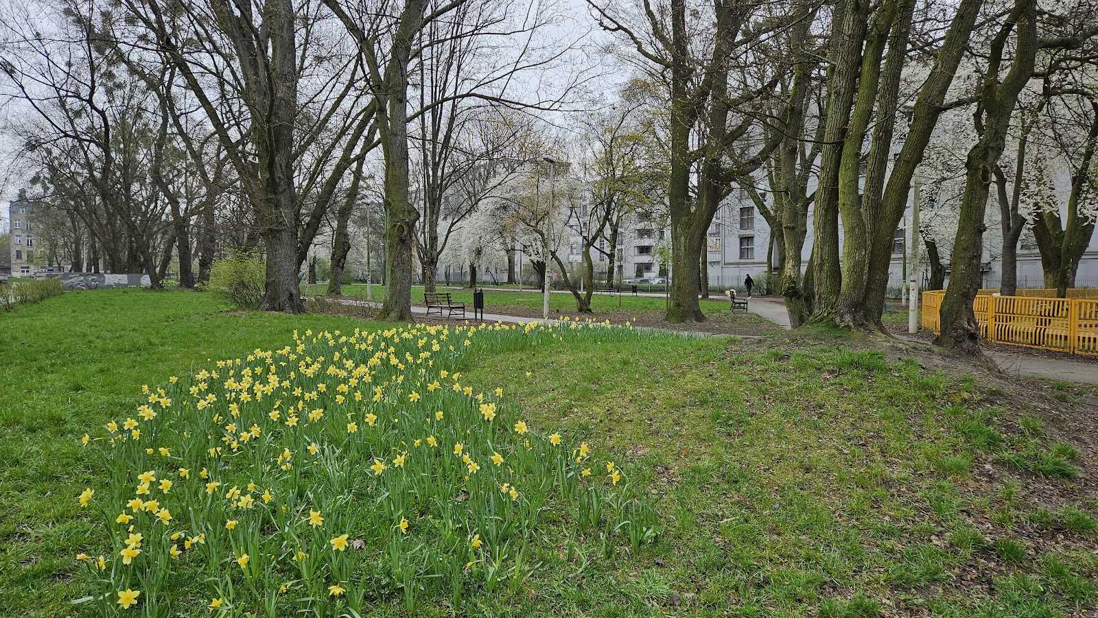Park Abramowskiego