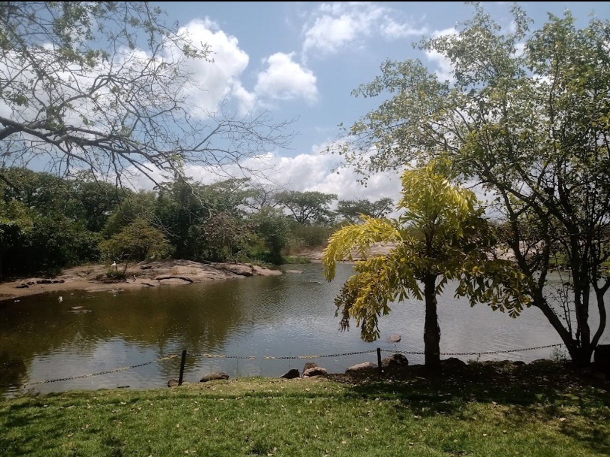 Park Baraúnas