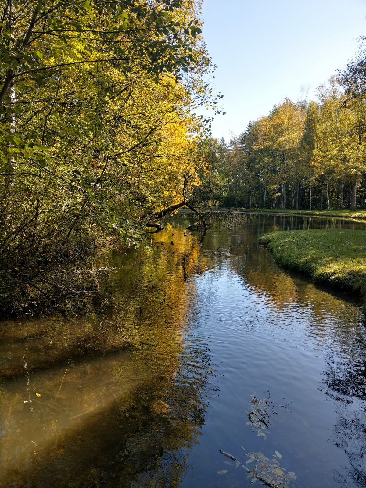 Park In der AU Weilheim in Oberbayern