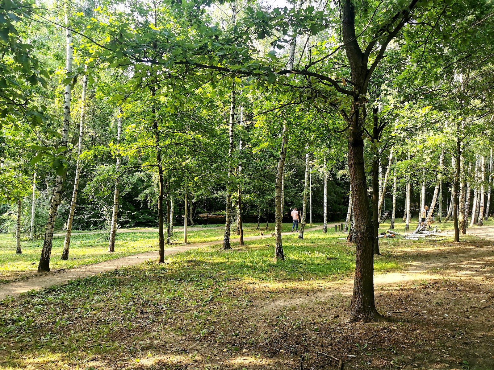 Park Ireny Jarockiej