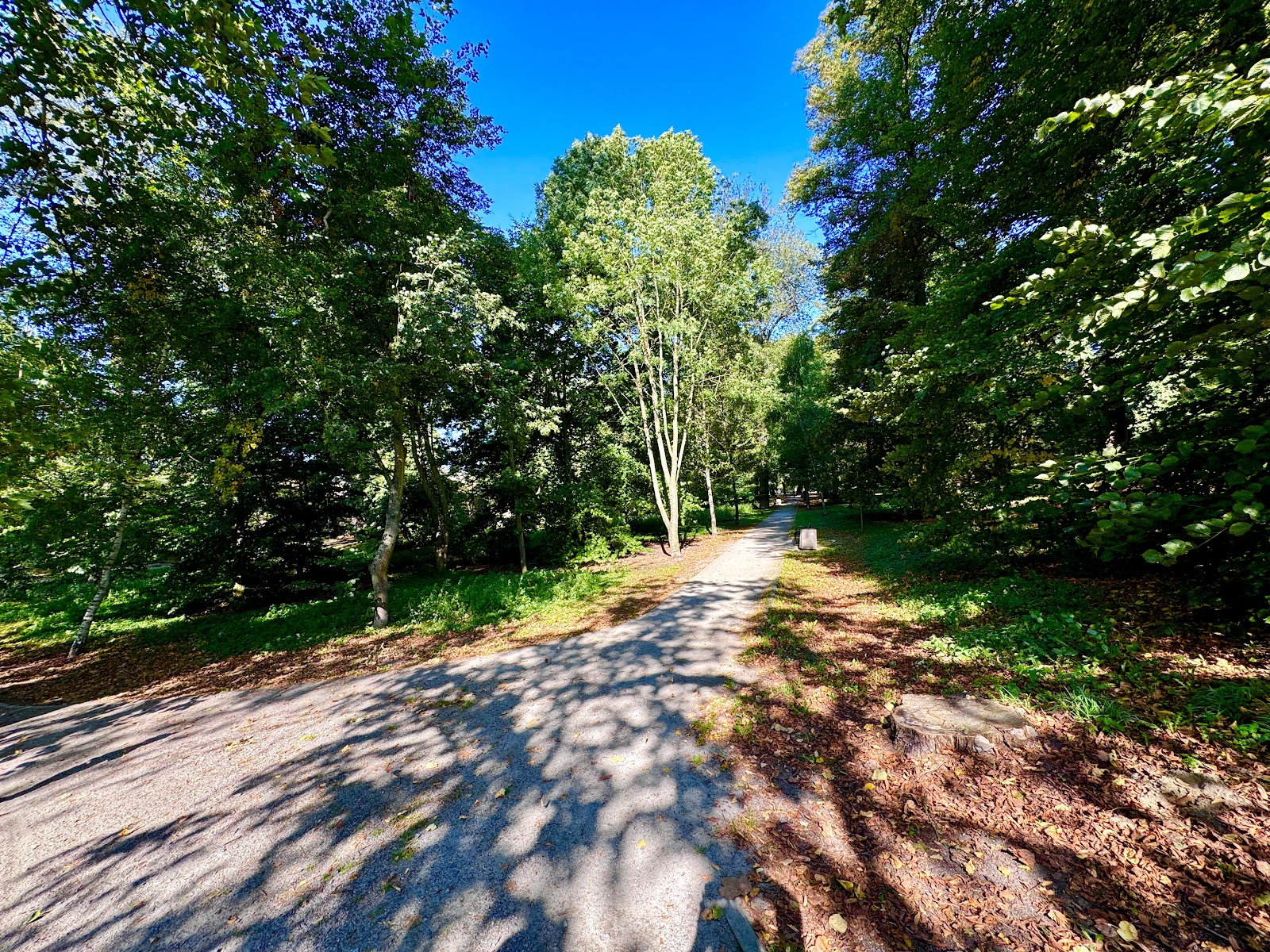 Park Miejski im. Stanisławy Siarkiewicz