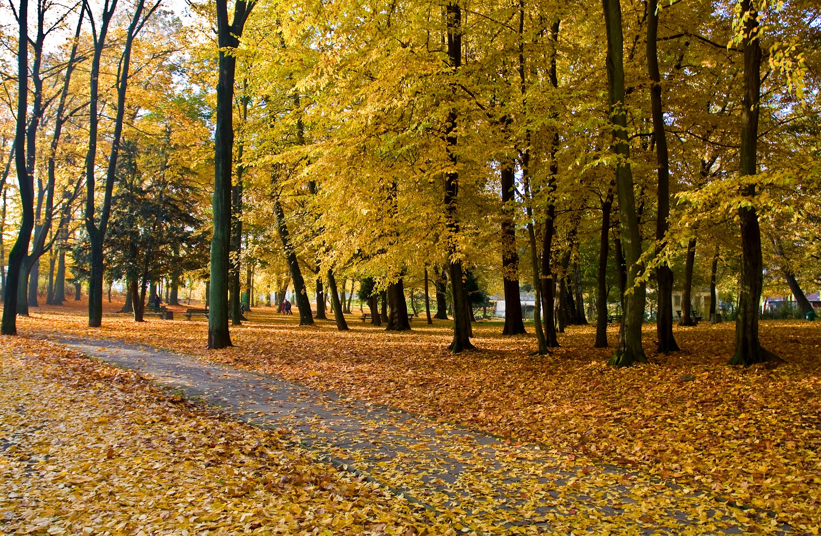 Park Piastowski