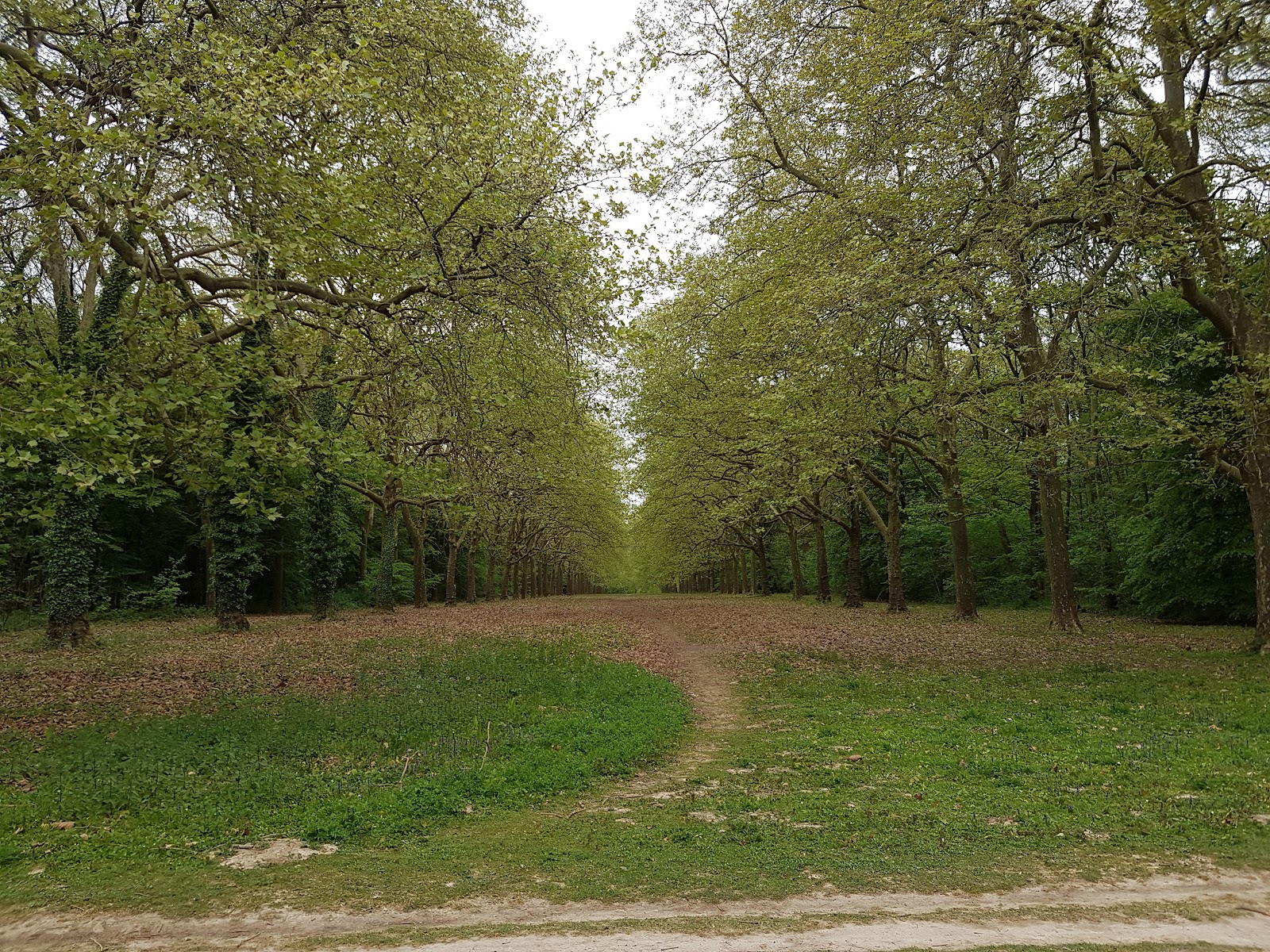 Park Villeroy