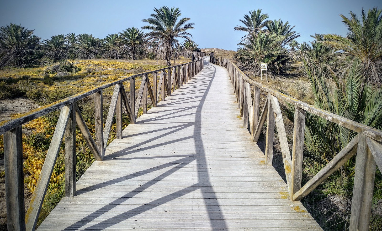 Parque Alfonso XIII