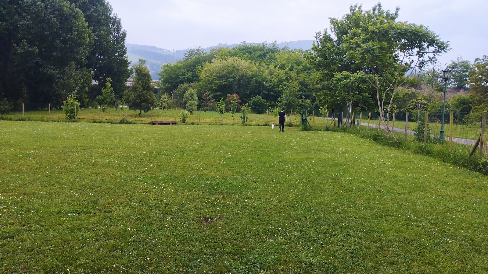 Parque Canino De Cartes