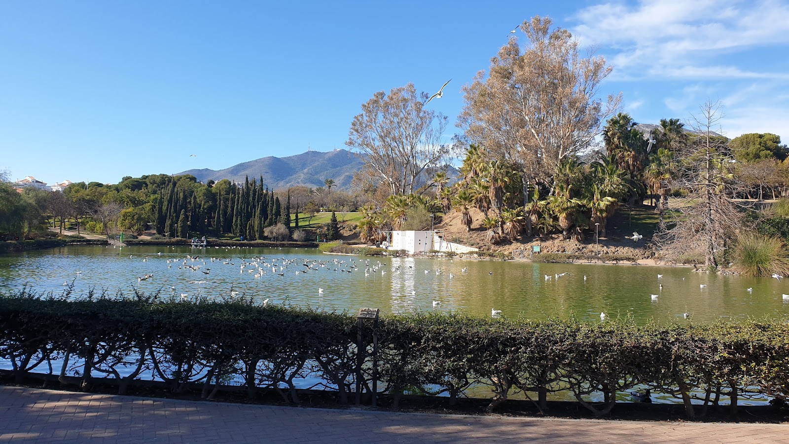 Parque