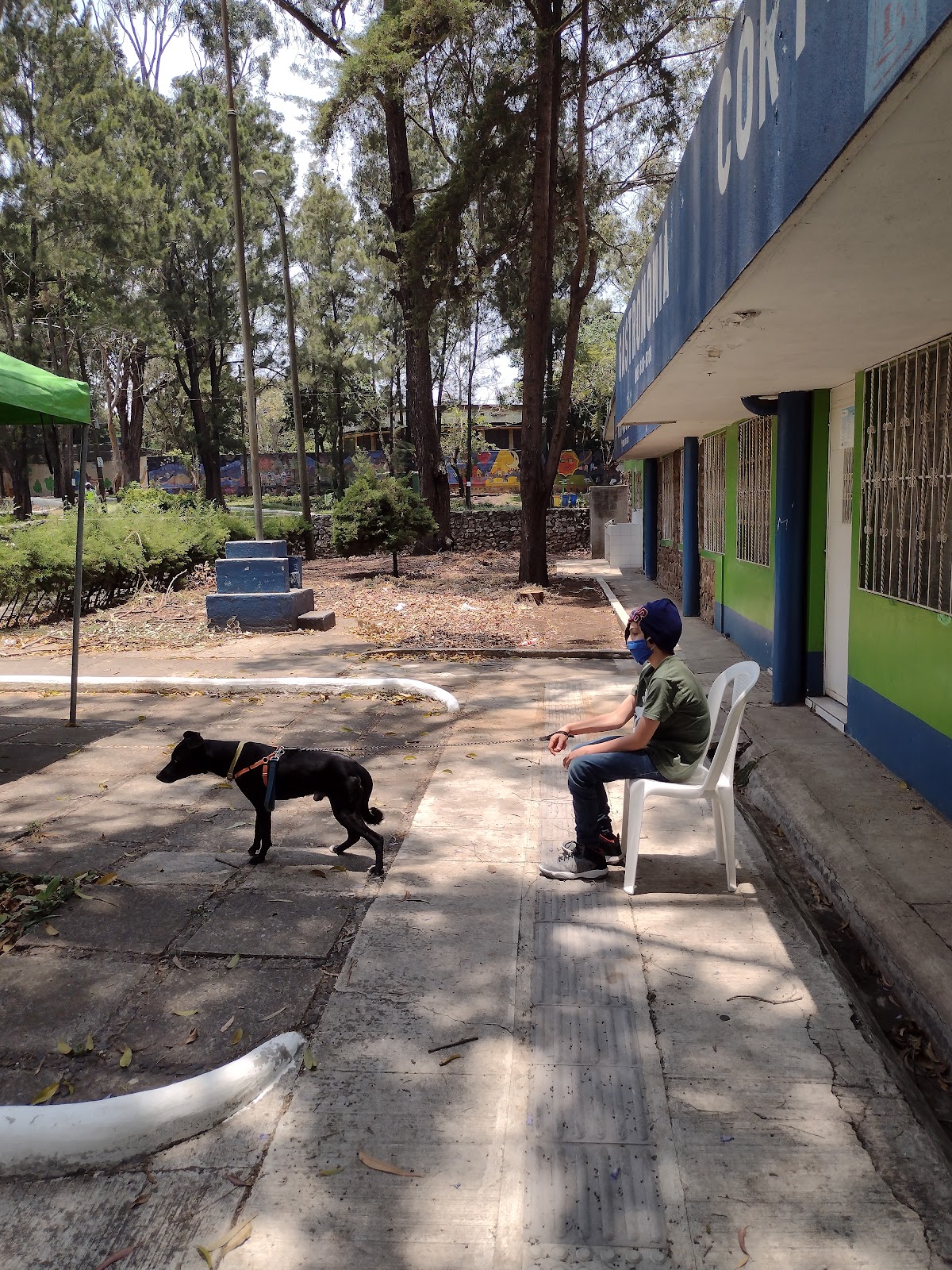 Parque Navidad