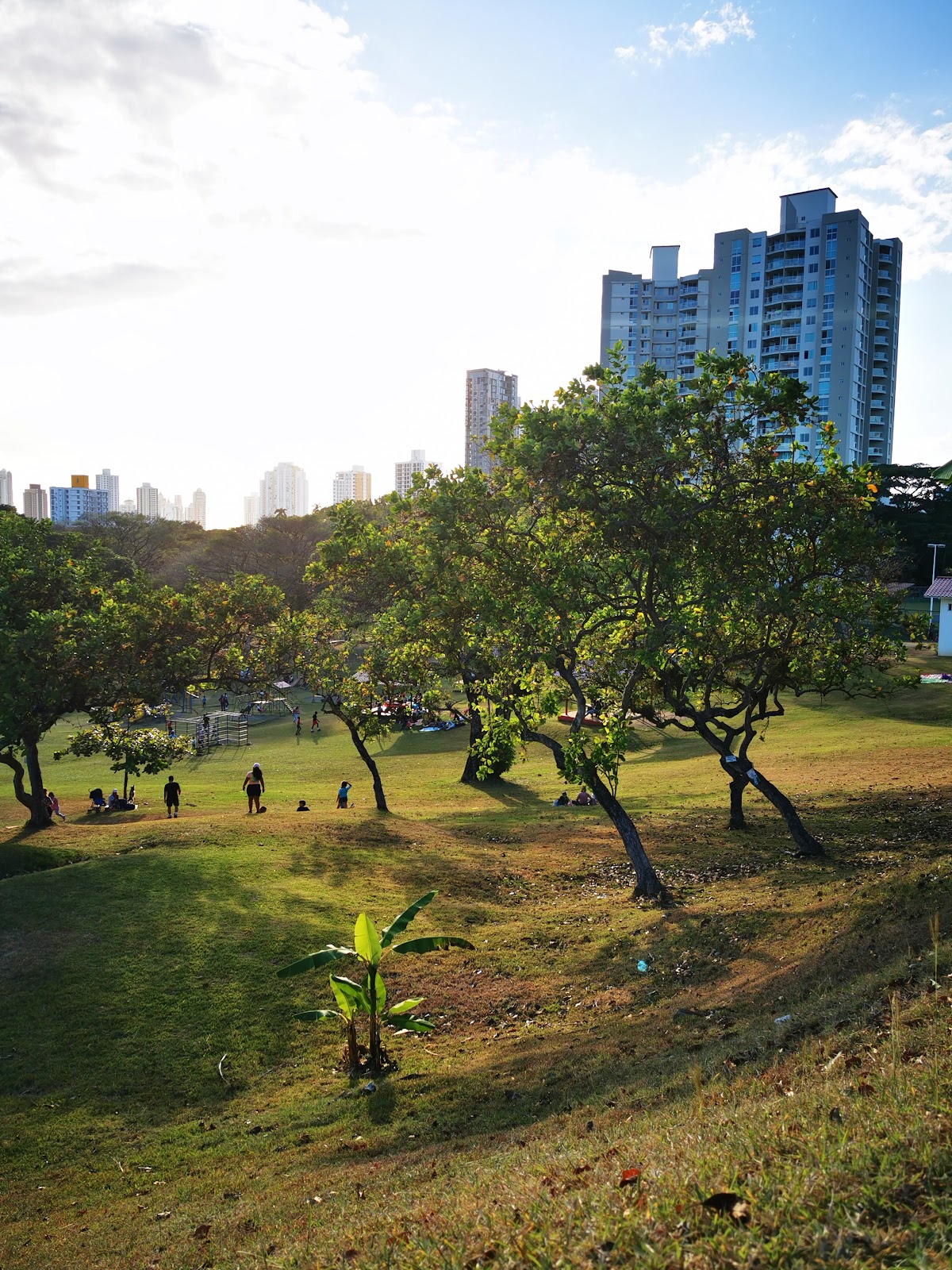 Parque Omar