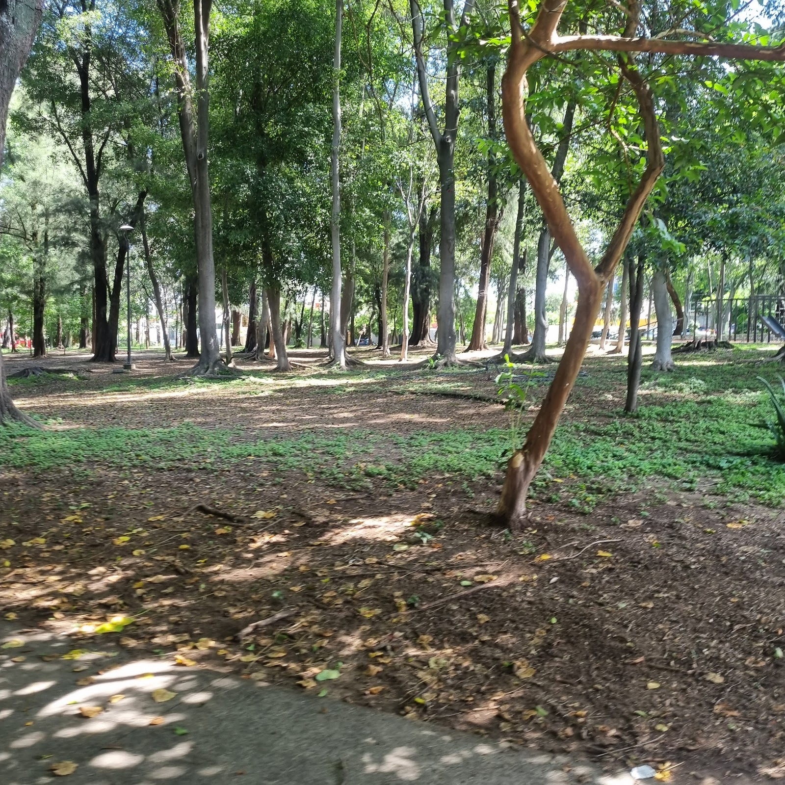 Parque Silvano Barba