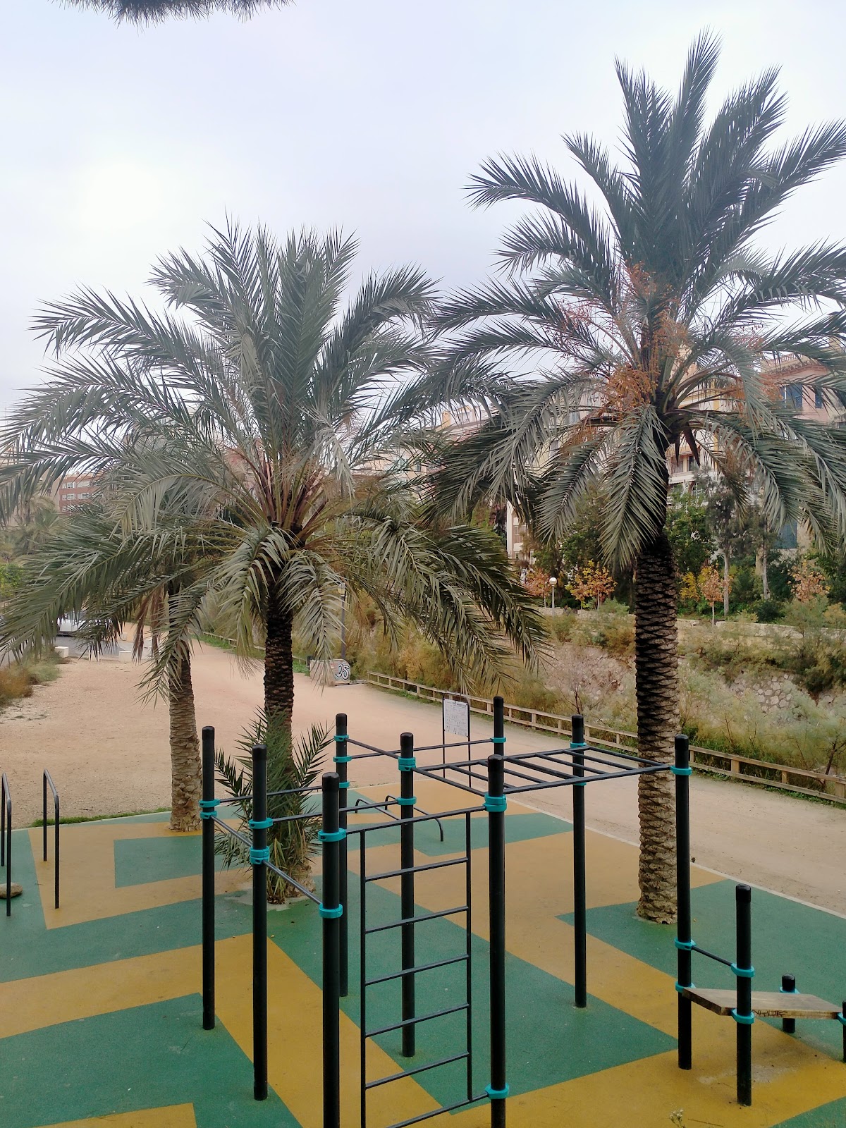 Parque calistenia sur