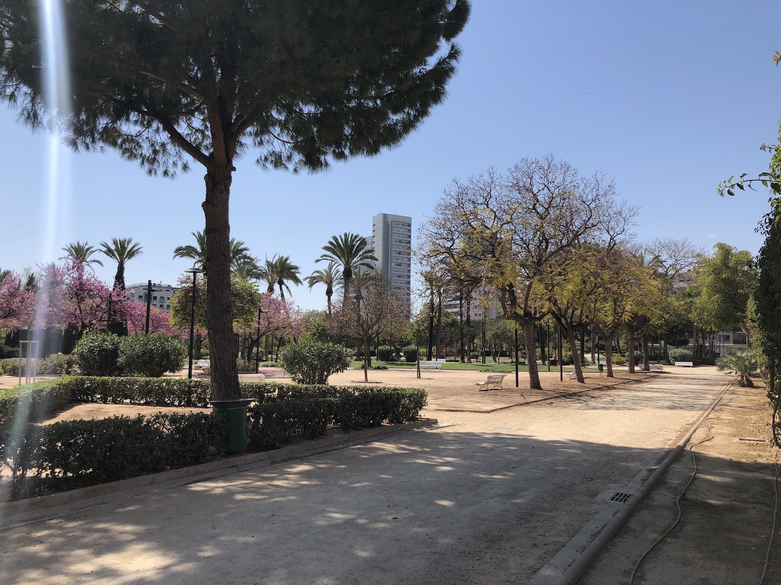Parque central