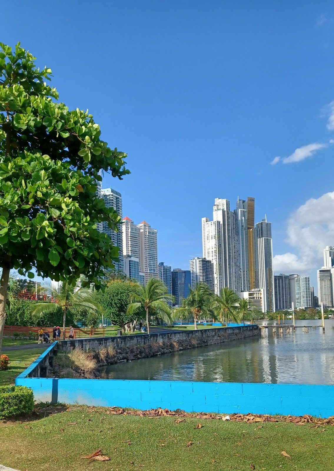 Parque de Calistenia