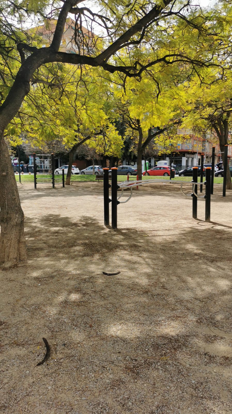 Parque de Calistenia