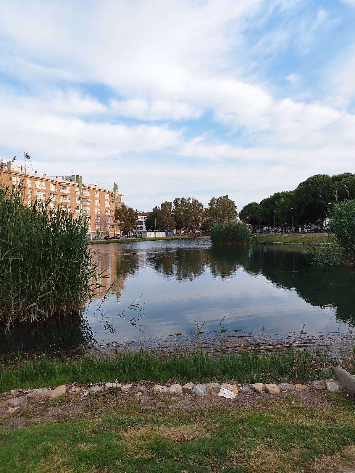 Parque de calistenia (street workout)